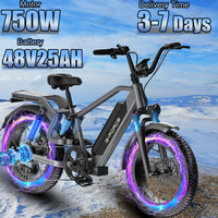 750W Powerful Motor Electric Bicycle 48V25AH Lithium Battery E-bike 20*4 Inch Fat Tire Hydraulic Brake All Terrain Electric Bike