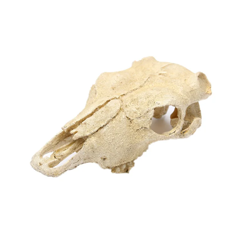 

Aquarium Fish Tank Aquatic Plant Sheep Resin Landscaping Decoration Pet Ornament Skull Head