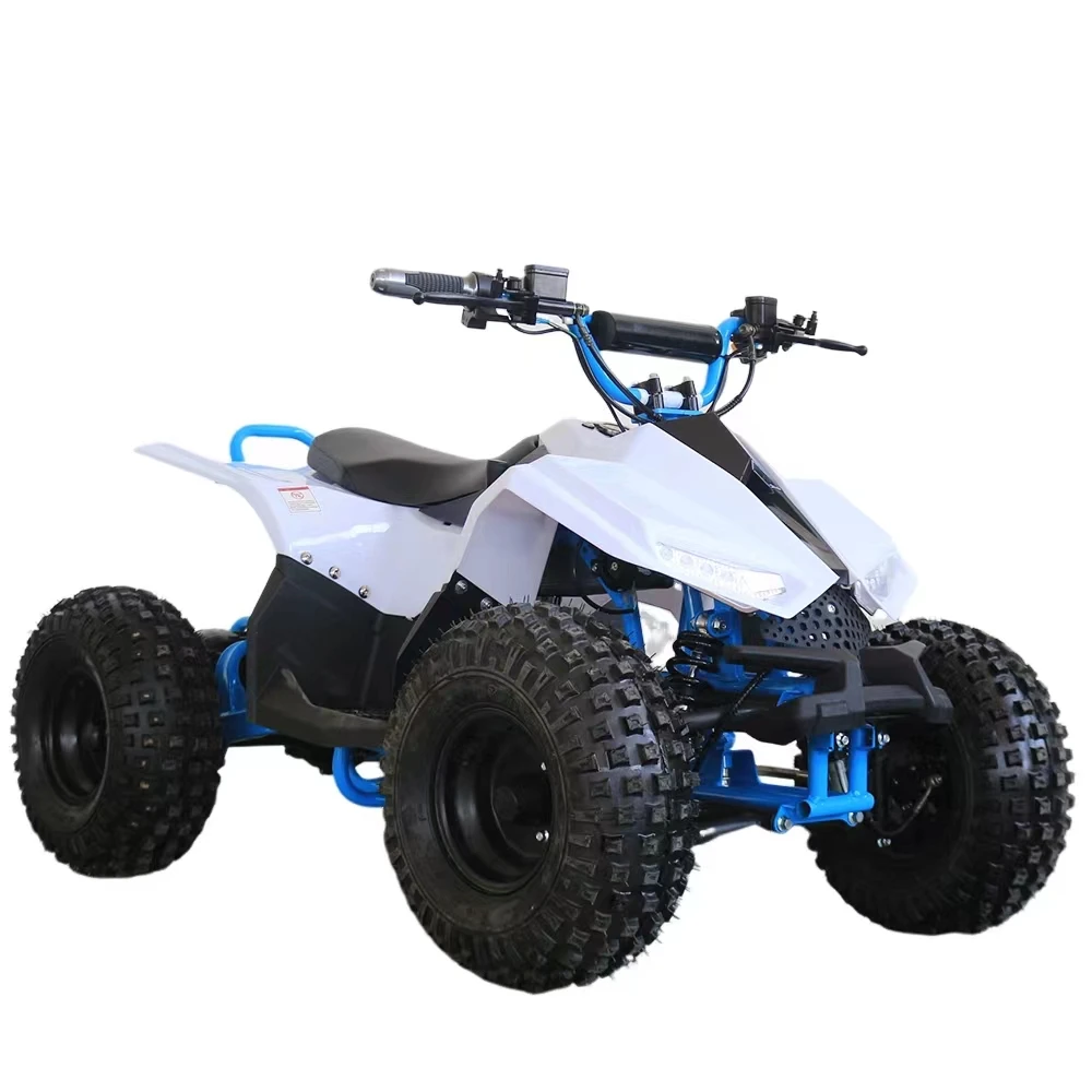 High Precision 1000w Quad Motorcycle Atv Quad Electric 1000w Atv Atv Bike For Kids