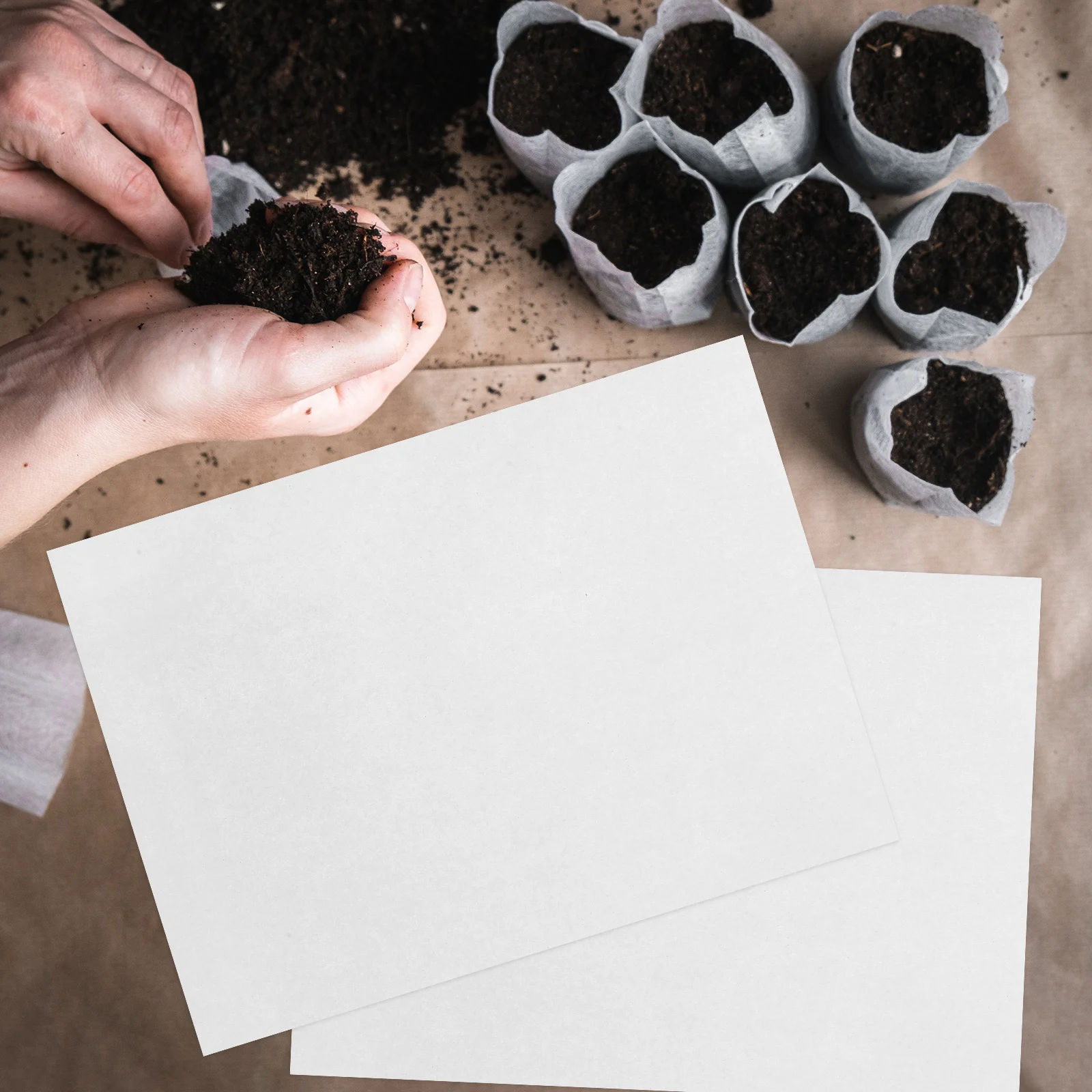 

200Pcs Nursery Papers Premium Germination Paper Practical for Bean Sprout Tray Plant Growing Supplies Germinating Paper