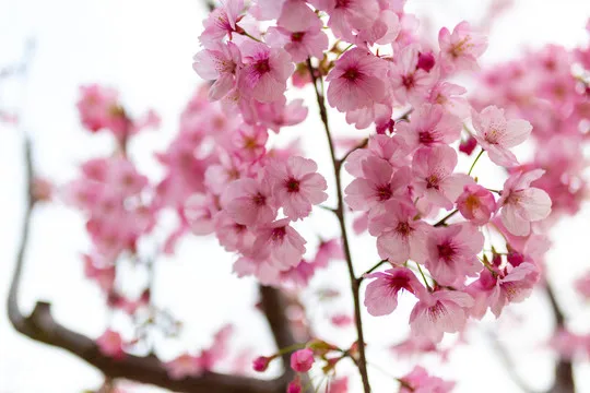 

CNC Machined Aluminum Alloy Servo Holder S3003 Servo Mount For RC Airplane Boat Car Servo