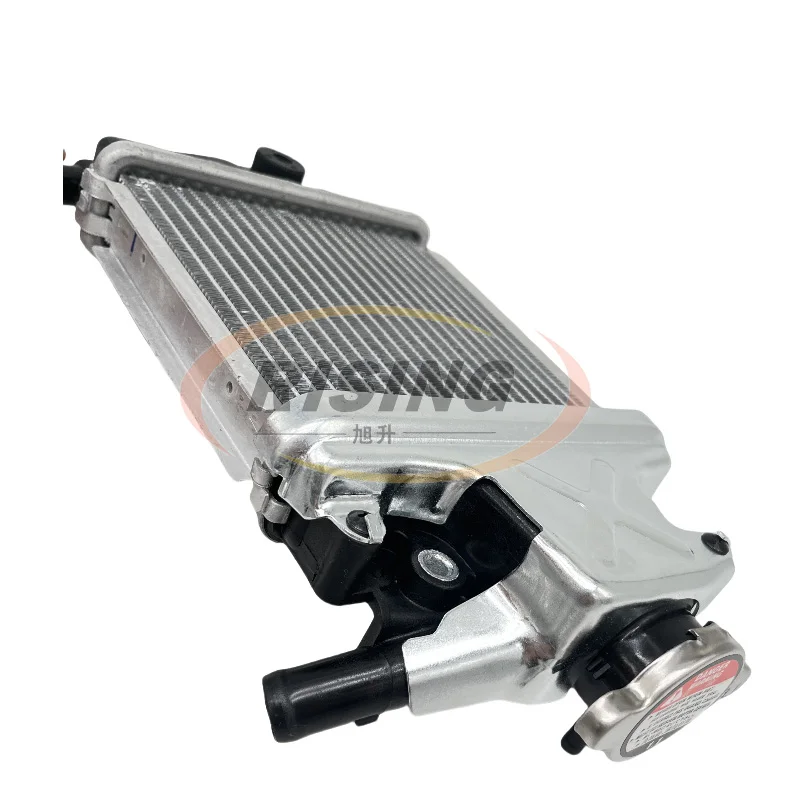 

Applicable to Longjia SixtiesLJ150T-3G Victoria Sixties150Si water-cooled water tank assembly