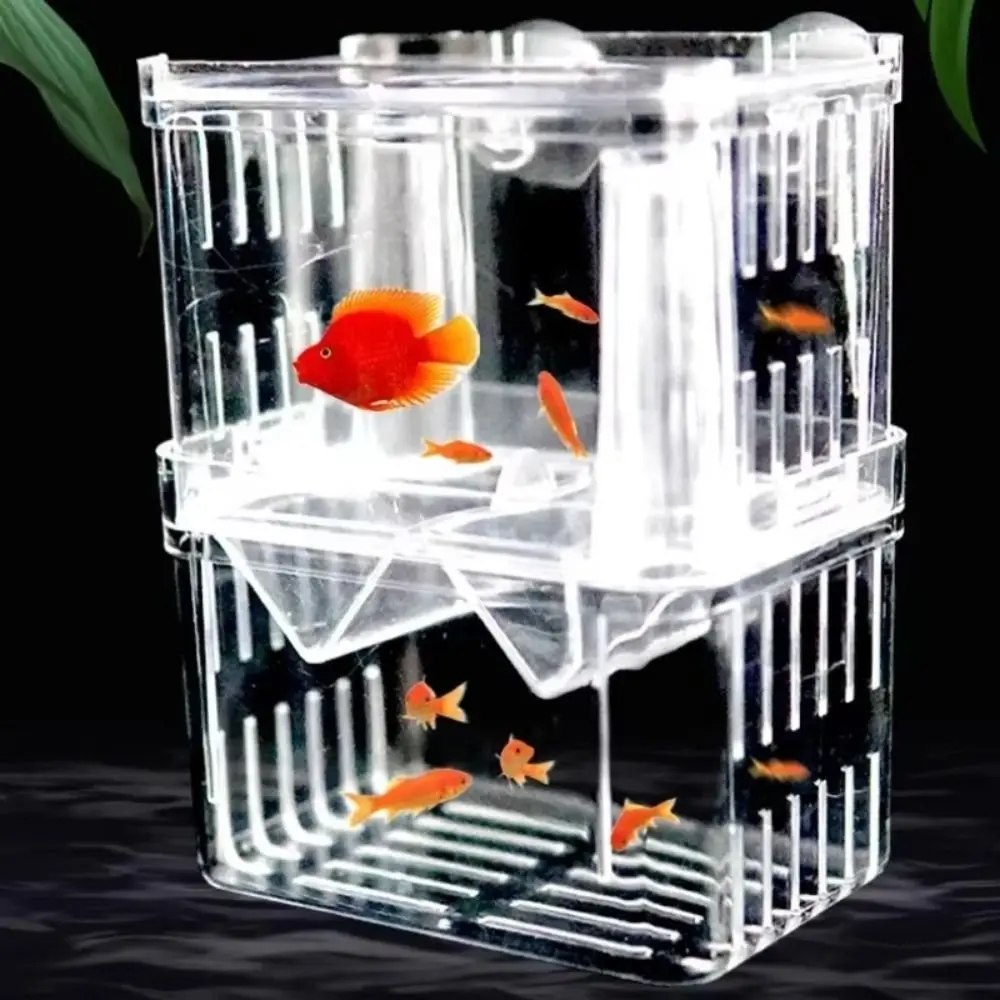 Plastic Fish Isolation Box with Oxygen-filled Port Clear Fish Tank Incubator Box Double Room Fish Breeder Box Aquarium Breeder