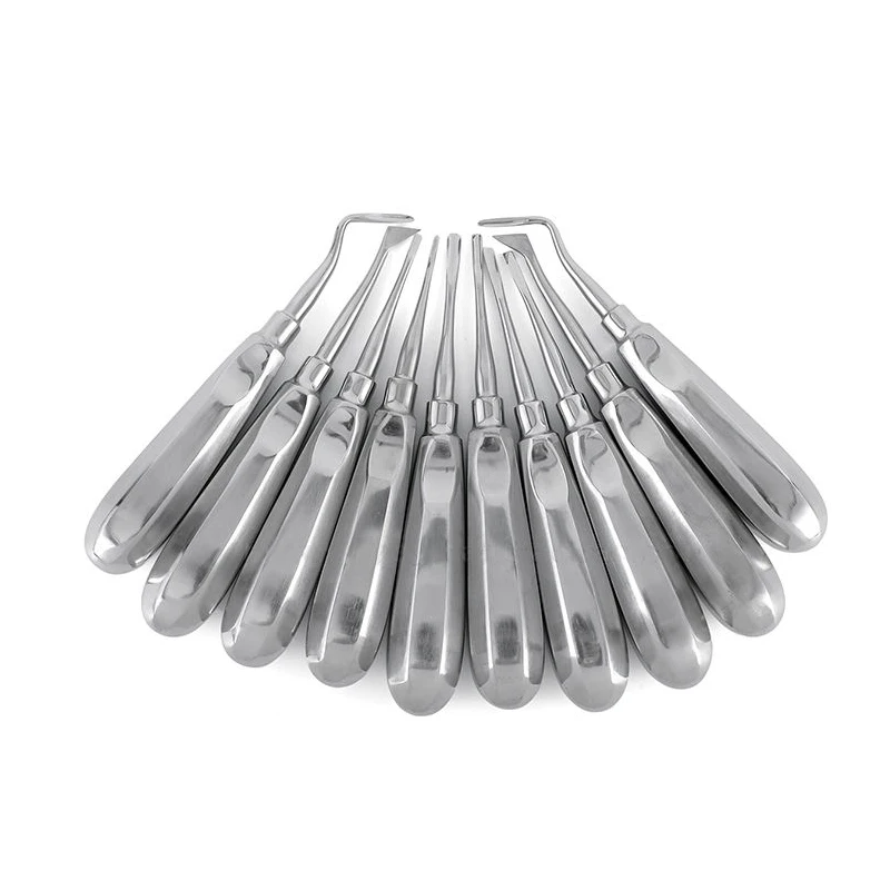 Dental Elevator Teeth Extraction Tooth Extracting Forceps 10pcs Stainless Steel Curved Root Lift Elevator Dentist Surgical Tool