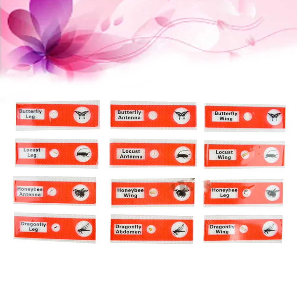 

12pcs Microscope Slides 'S Plastic Biological Specimens Set Insect Samples For Science Learning Red Educational Kit