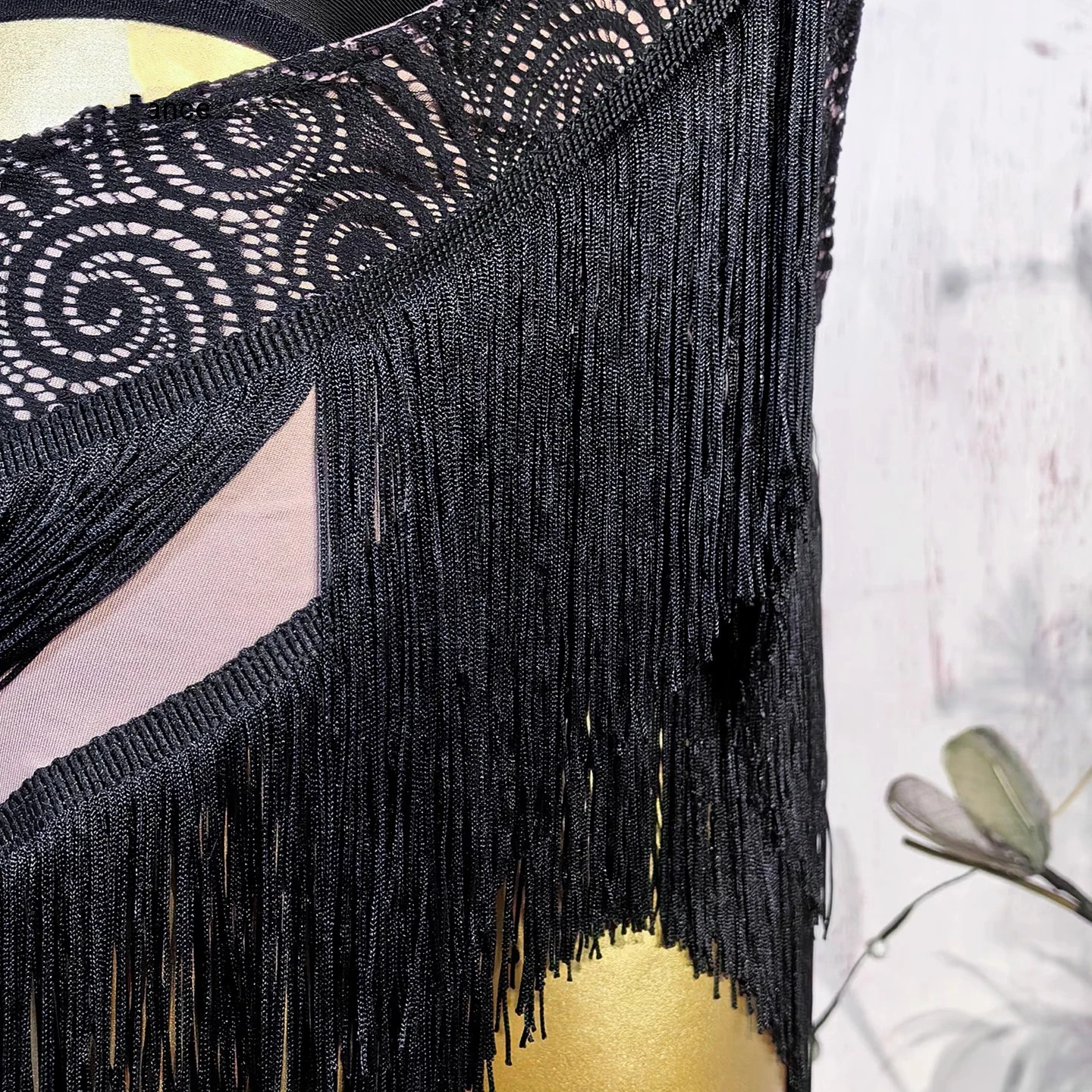 Vestito da ballo latino Sexy Fluff Strap Top Nappe Gonna di pizzo Costumi di prestazione per le donne Chacha Rumba Tango Latin Wear DN22349