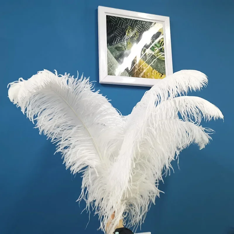 10pcs White Large Ostrich Feather for Sewing in Dress 65-70cm Wedding Materials Diy Craft Supplies Burlesque Gift Vase