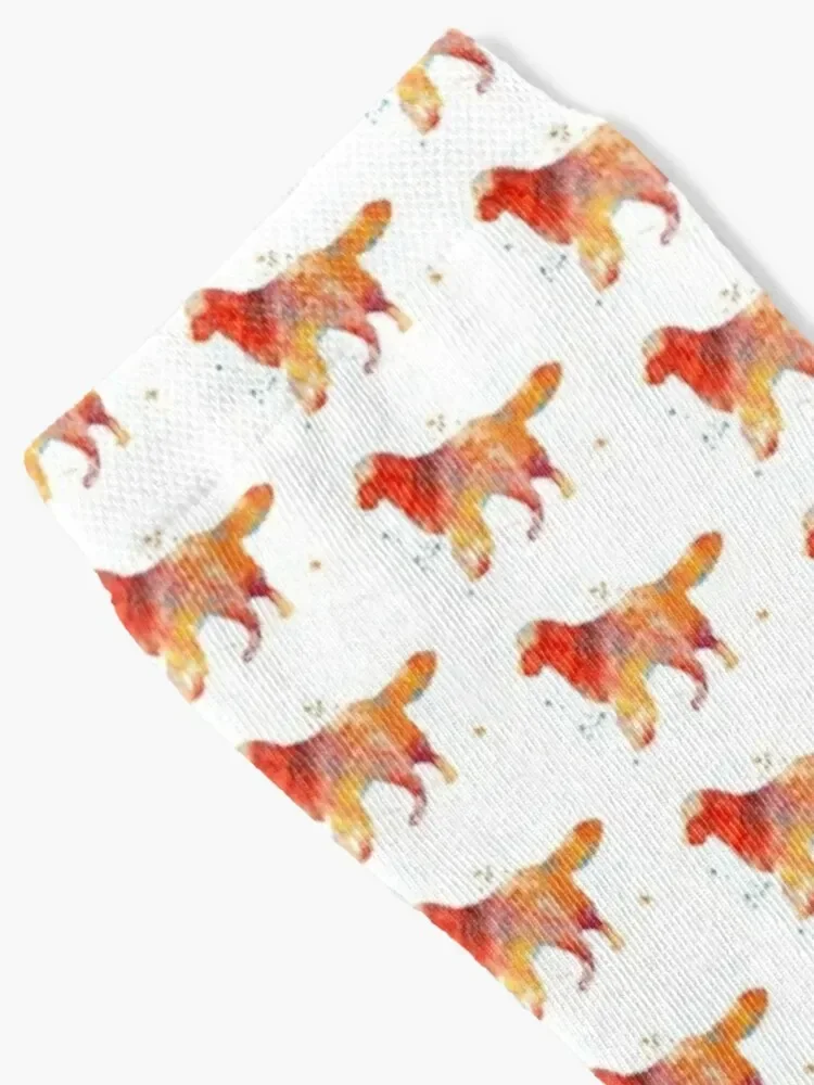 Golden retriver, watercolor Golden retriver Socks loose retro designer brand Boy Child Socks Women's