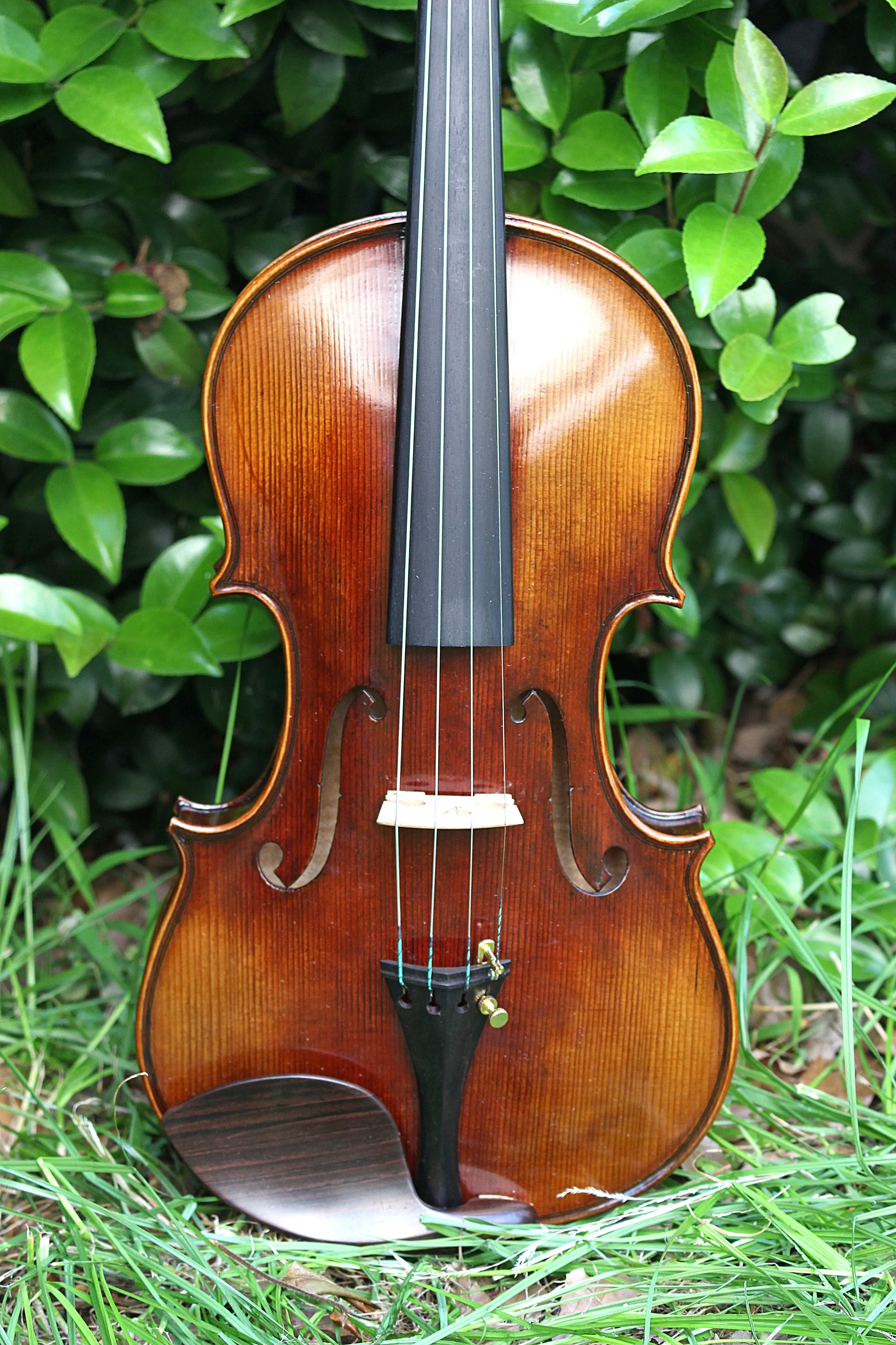 TONGLING Professional Top Master Violin 4/4 Size Handmade Oil Varnish & 20 Years Old European Spruce  Antique Violin