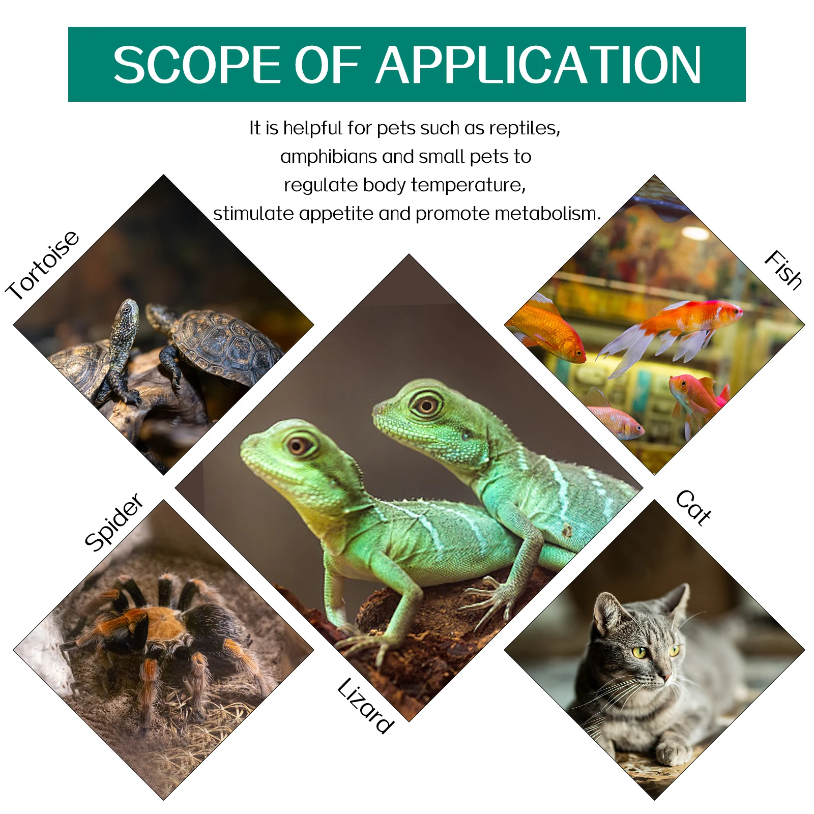 Almohadilla térmica para reptiles, Control de temperatura ajustable, terrario de lagarto, estera calefactora para animales pequeños, serpiente, tortuga, dragón barbudo, Gecko