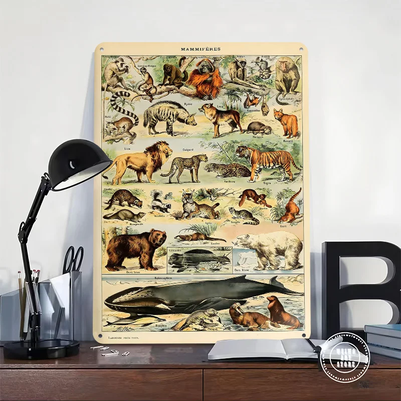 Adolphe Millot Mammals V2 Printed Poster Customized Retro Wall Art Vintage Metal Tin Signs for Decoration Bedroom House Interior