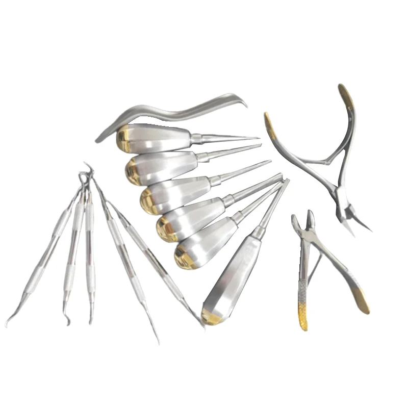 Veterinary Oral Cleaning Surgery Tooth Extraction Tools Stainless Steel Rodent Small Animal  Kit For Canine Feline Rabbit