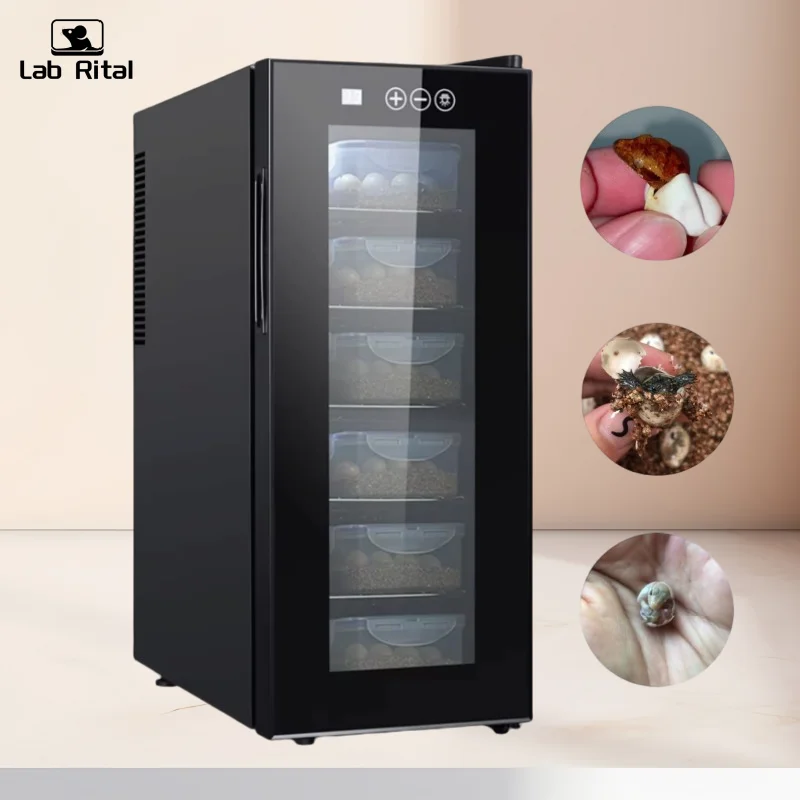 

Digital Reptile Egg Hatcher Thermostatic Reptile Incubator for Snage Ball Python Eggs