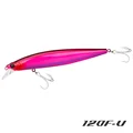 DW202 120F-U