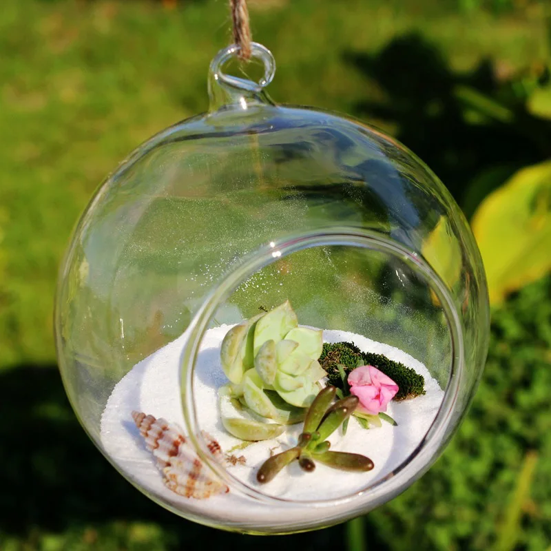 Wall Hanging Glass Flower Vase Semi-Circular Plant Hydroponic Terrarium Wall Fish Tank Aquarium Container Home Living Room Decor