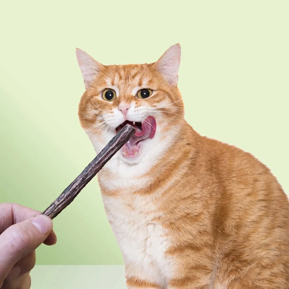 Thumbnail 4 - #35 Best Cat Toys to Buy In 2026