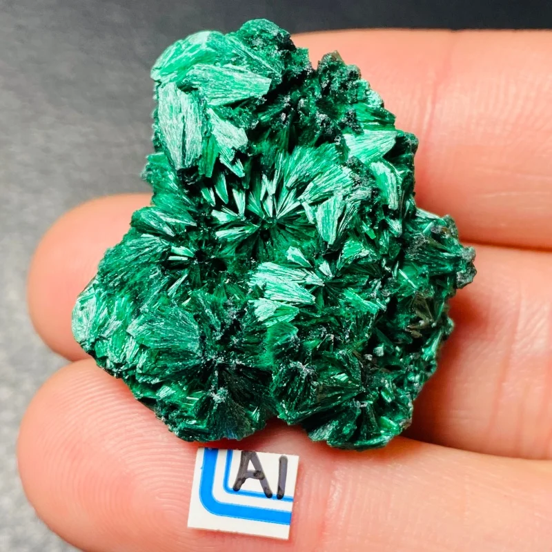 Natural Green Zambian Congo Needle-Shaped Crystal Malachite Mineral Specimen Energy Stone Healing Home Decoration