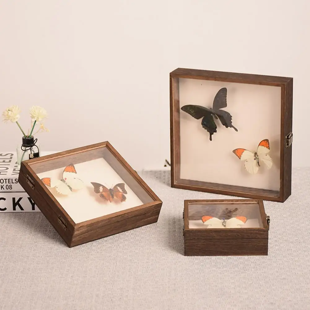 Long-lasting Butterfly Container Wood Specimens Display Case with Smooth Edges High-visibility Shadow Box for Storage Showcase