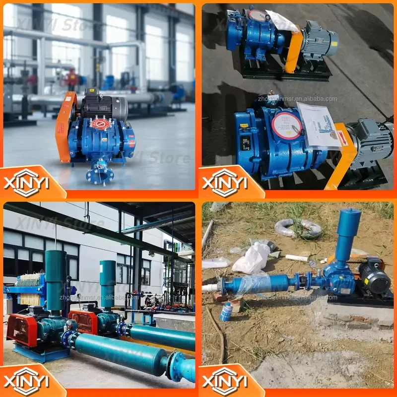 for Roots Aerator High Pressure Aquaculture Electric Oxygen Pump Pond Vacuum Cast Iron Engine Motor Bearing 1m/min-100m/min