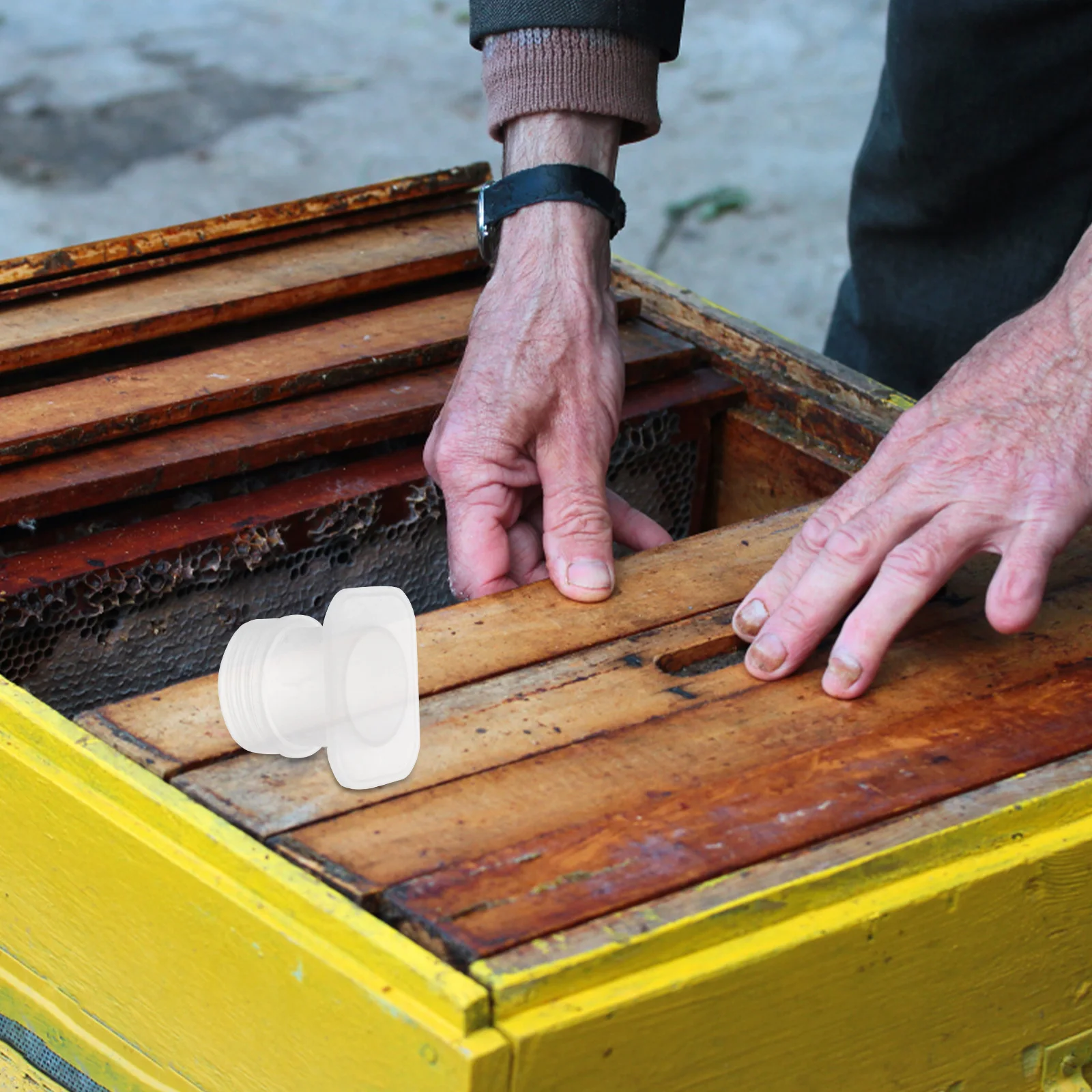 

20Pcs Bee Water Feeder Durable Plastic Material Easy to Carry and Use Anytime Beehive Watering Tool Bee Water Feeder