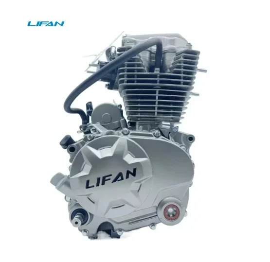 Lifan 200cc Engine 1 Cylinder 4 Stroke Air-cooled Motorcycle Engine CG200 Engine