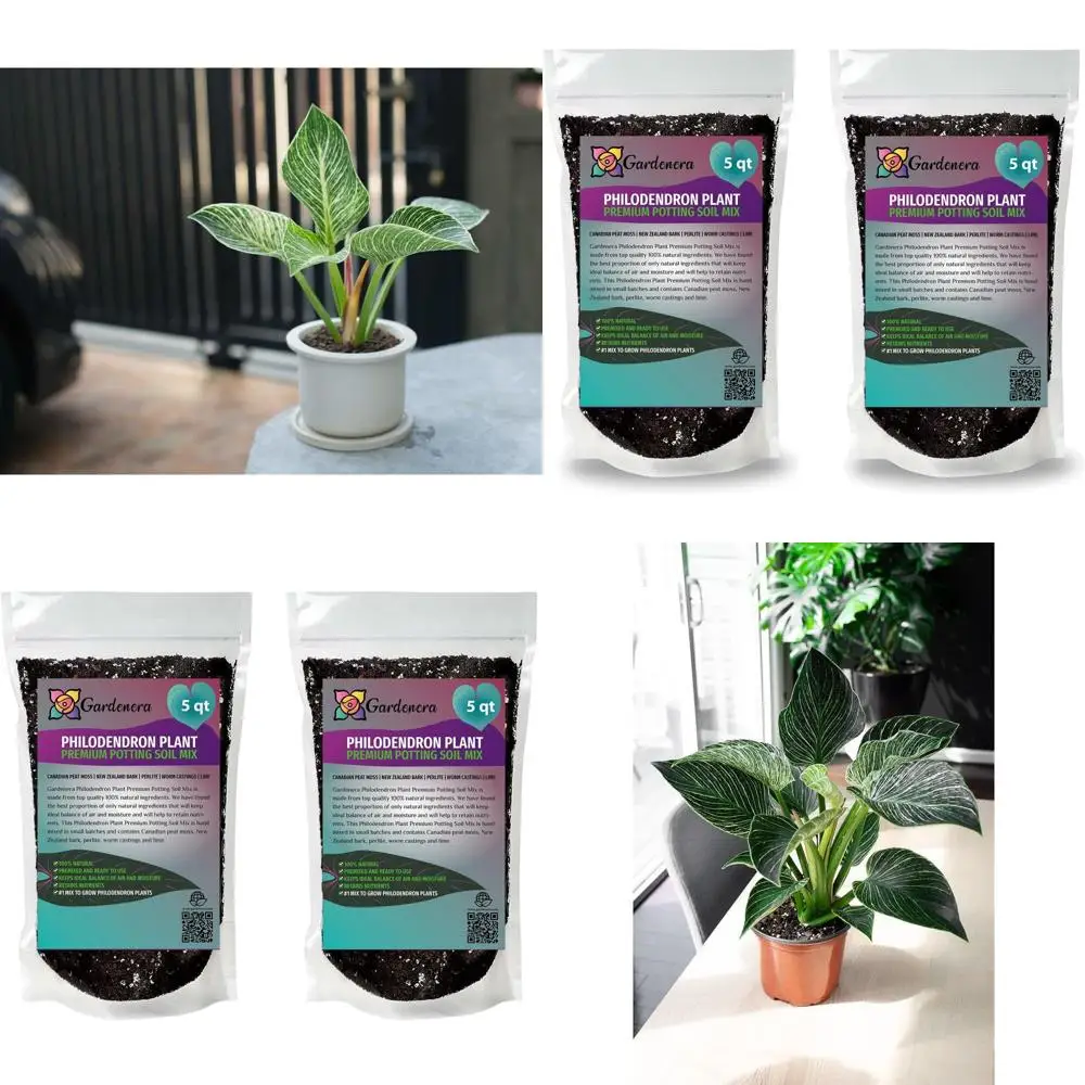 

Высококачественный грунт для филодендронов - 10 кварт для пышной, зеленой листвы