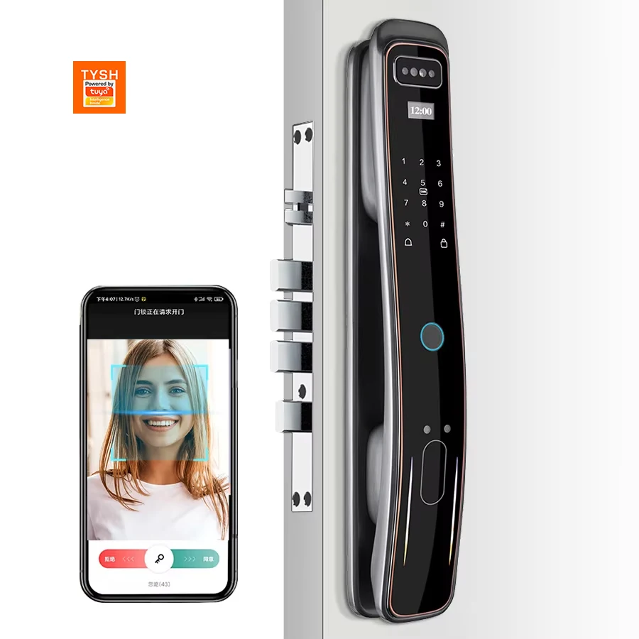 STLF Anti-theft Smart Lock Self-Locking RFID Card 3D Face Recognition Digital Glass ID for Wood Office Smart Lock WiFi