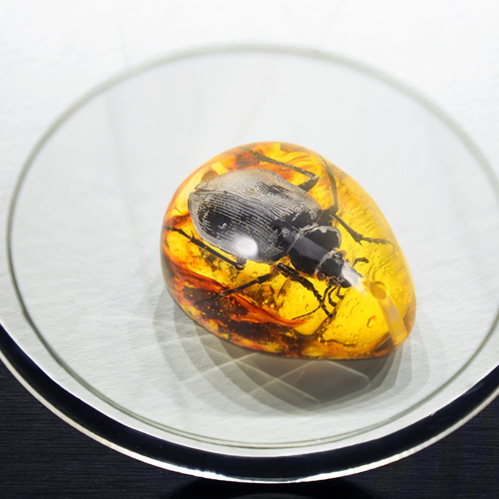 

Amber Specimen Insect Resin Pendants Decorative Crafts Beetle Shaped Stylish Creative Lightweight Portable Jewelry DIY