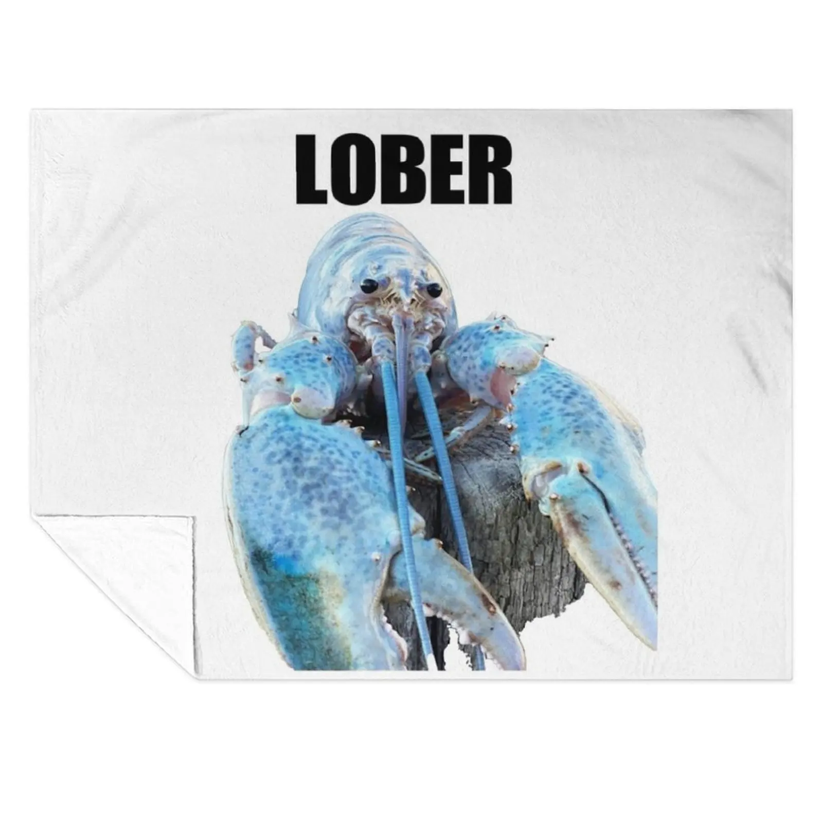 

Lober (Blue lobster meme) Throw Blanket decorative Extra Large Throw For Decorative Sofa Kid'S Blankets
