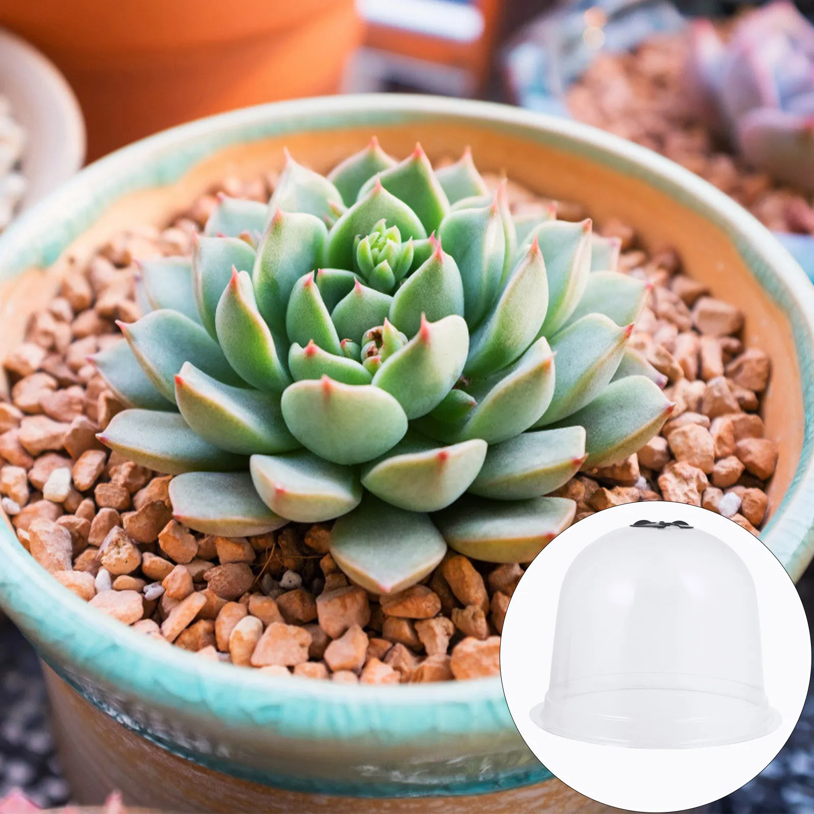 6Pcs Plant Dome Bell Covers Rotating Vent Design Portable Frost Protection Kit Includes 18 Ground Pegs 10 Plant Labels Garden