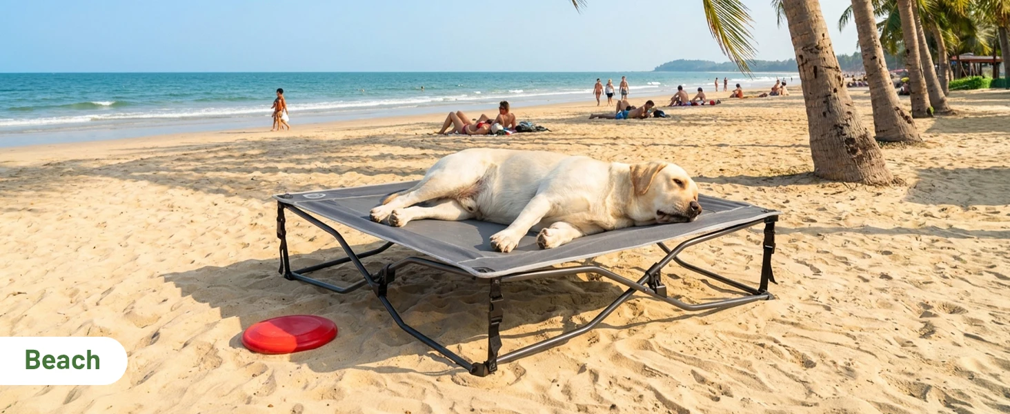 dog cot