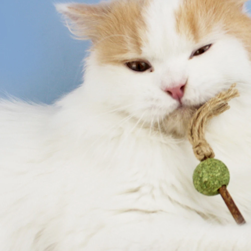 

3 Pcs Catnip Balls Pet Teething Toy Kitten Plaything Indoor Cat Toy Sturdy Durable Teeth Grinding