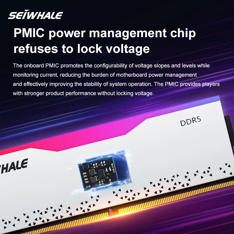 メモリーSEIWHALE DDR5 6000MHz 16GB x2 セット SEIWHALE RGB DDR5 16GB 6000MHz 16GBX2 Desktop RAM Review and Guide