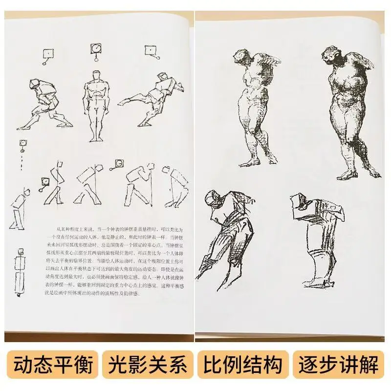 Guia completo de Bridgman para desenhar da vida