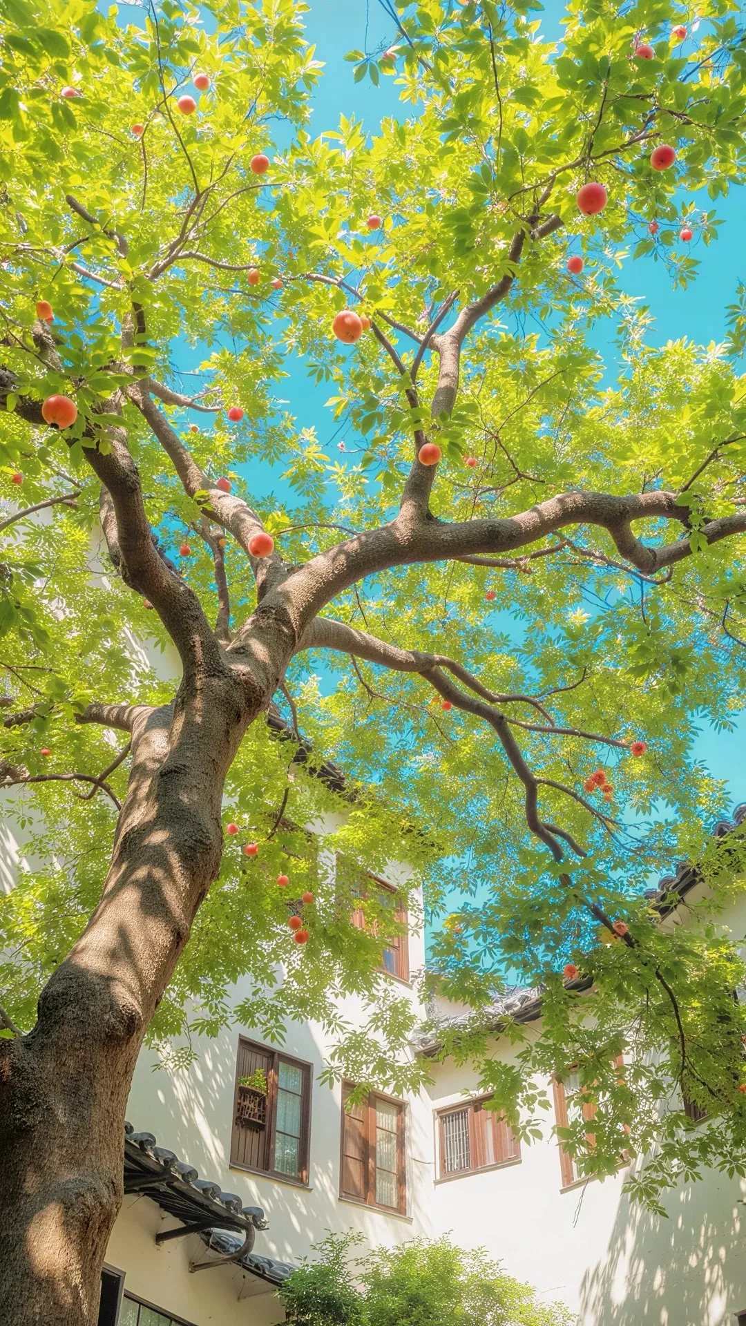 

For Luxgen Luxury 7 U7 SUV 2011-2016 Car Android13 8+256G GPS Navigation Headunit Multimedia Player Stereo Auto Radio Recorder