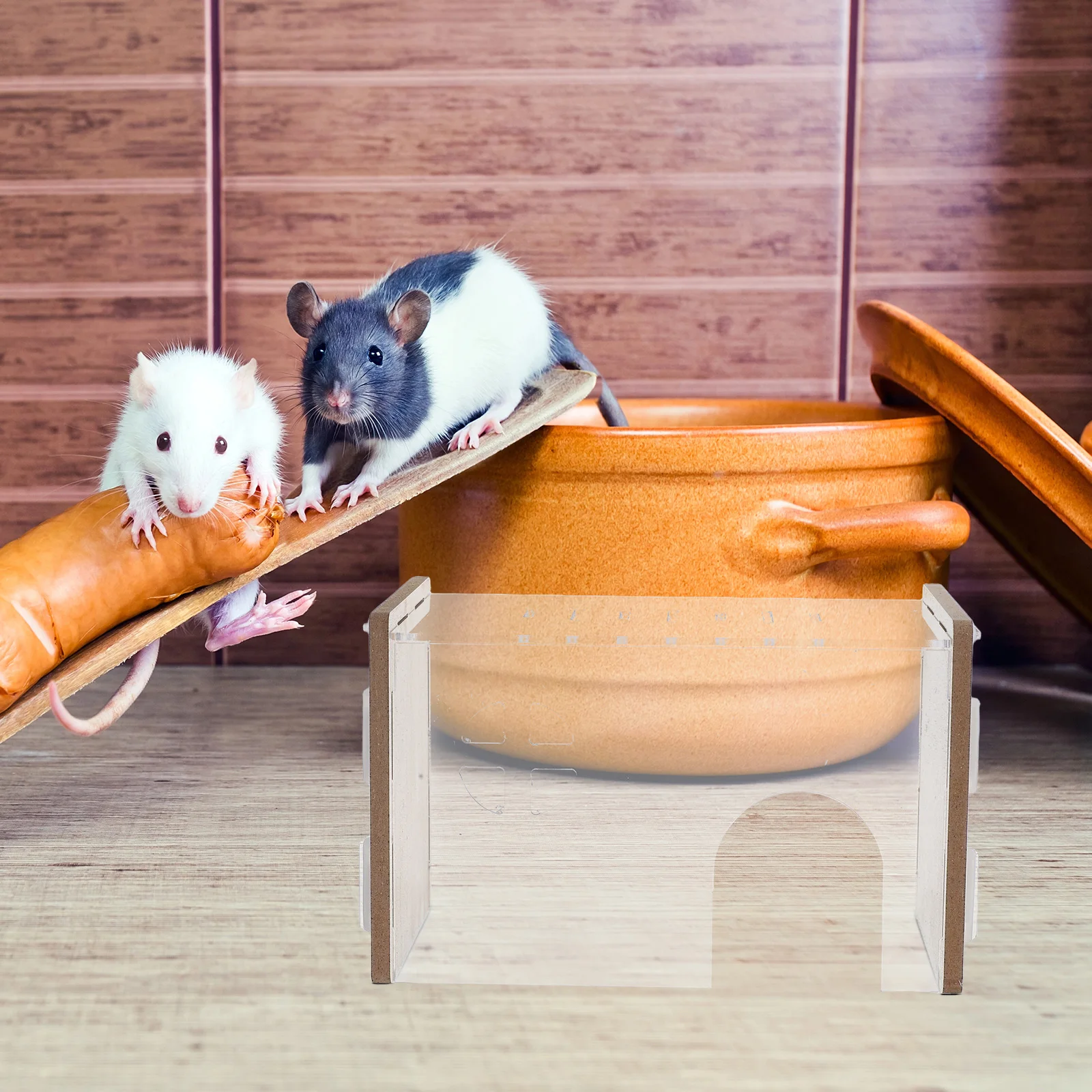 

Acrylic Hamster Hideout Transparent Design Comfortable Habitat Decorative Function Easy Cleaning Small Animal Nest