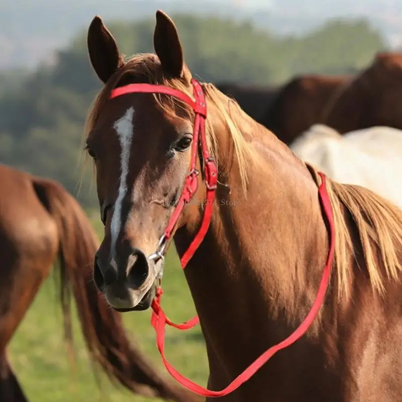  Quality Fashionable Leather Horse Headgear Horse Bridle Headstall With Silver Hardware Waterproof Design For Stable Use