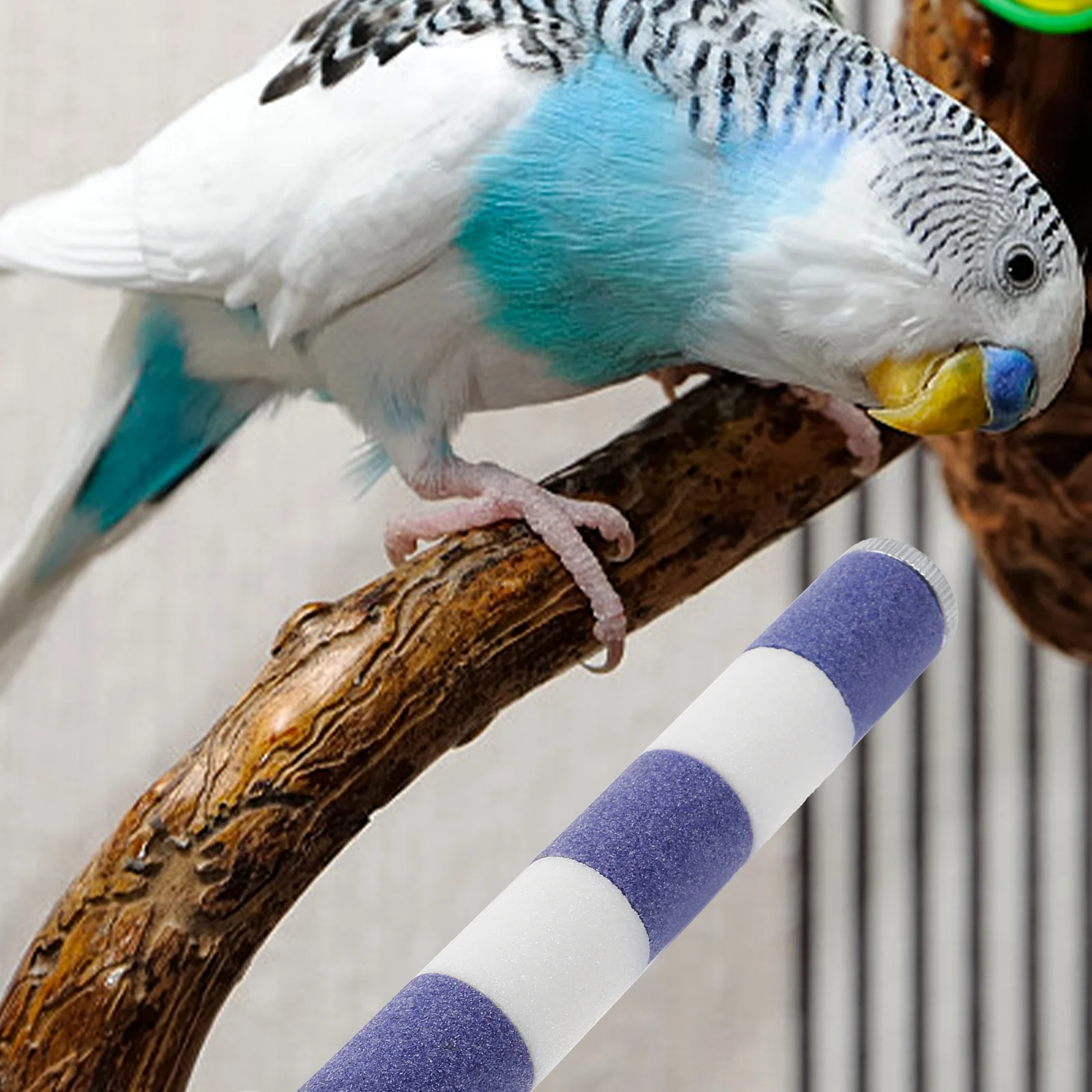 

Parrot Claw Stick Bird Perch Toy 15cm Long 2cm Diameter Blue White Parakeet Perch Cage Mount Rod Pet Bird Supplies