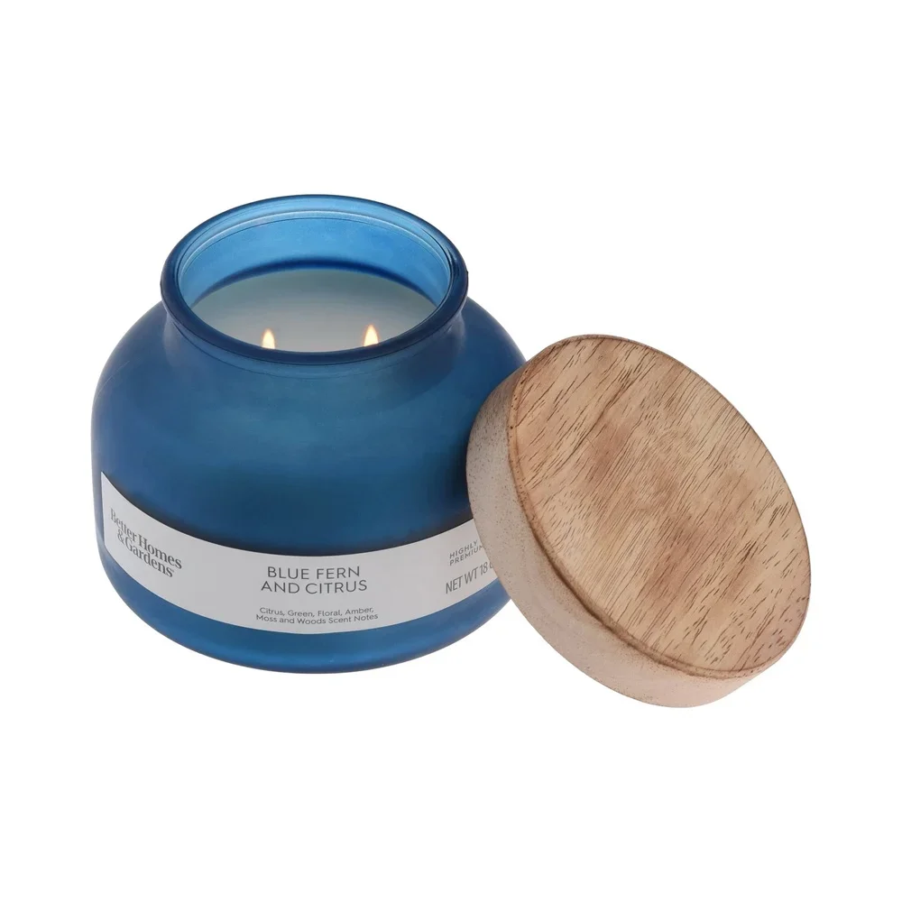 شمعة معطرة بالحمضيات السرخس الزرقاء 2 شمعة جرة الفتيل 18 أونصة عطر عطري لديكور المنزل شمع البارافين وقت حرق طويل 52 ساعة