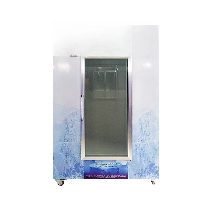 

Freezer Commercial Large Capacity Refrigerated Bag Outdoor Freezer Storage
