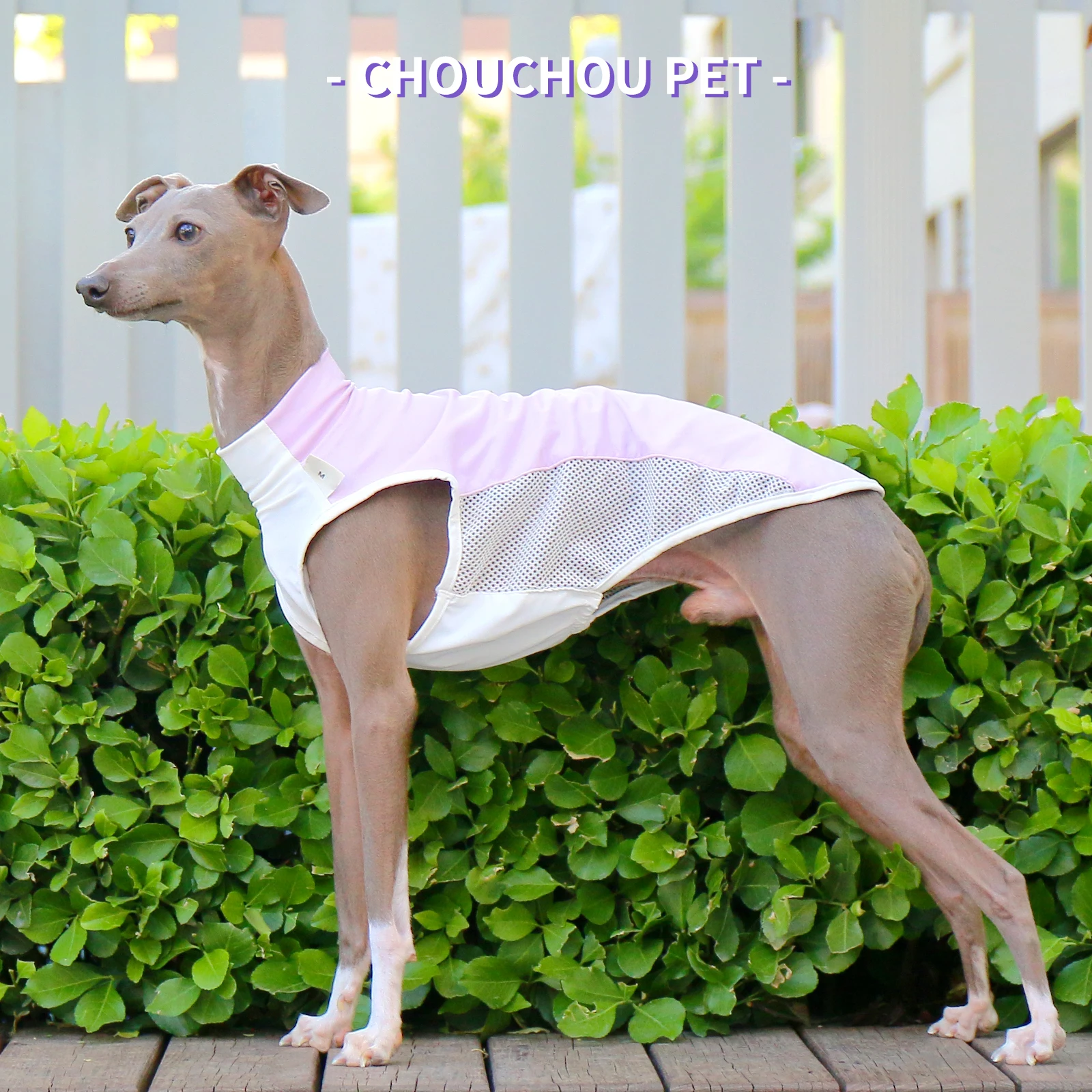 Thumbnail 2 - #13 Trending Dog Coats Right Now