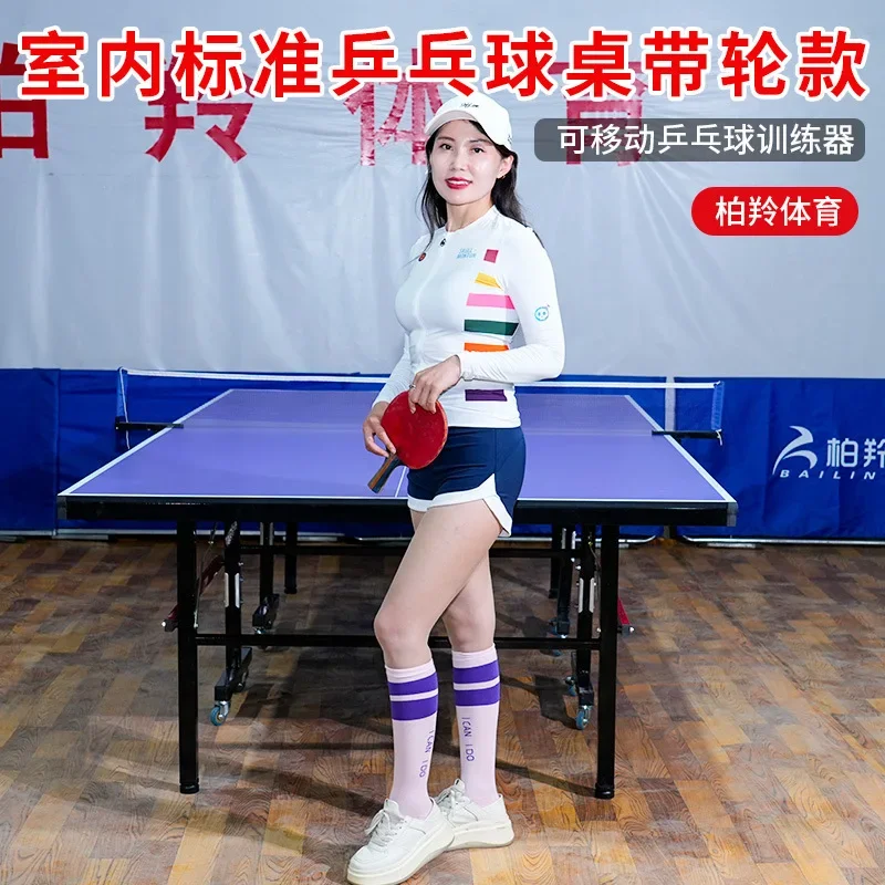 Table Tennis Table Indoor Foldable Mobile Standard