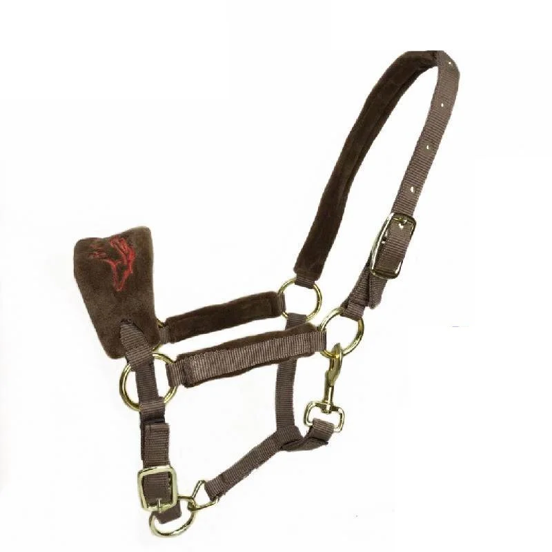 Venta al por mayor, brida de caballo de carreras Flexible, caballete de caballos impermeable con cuello Halter occidental