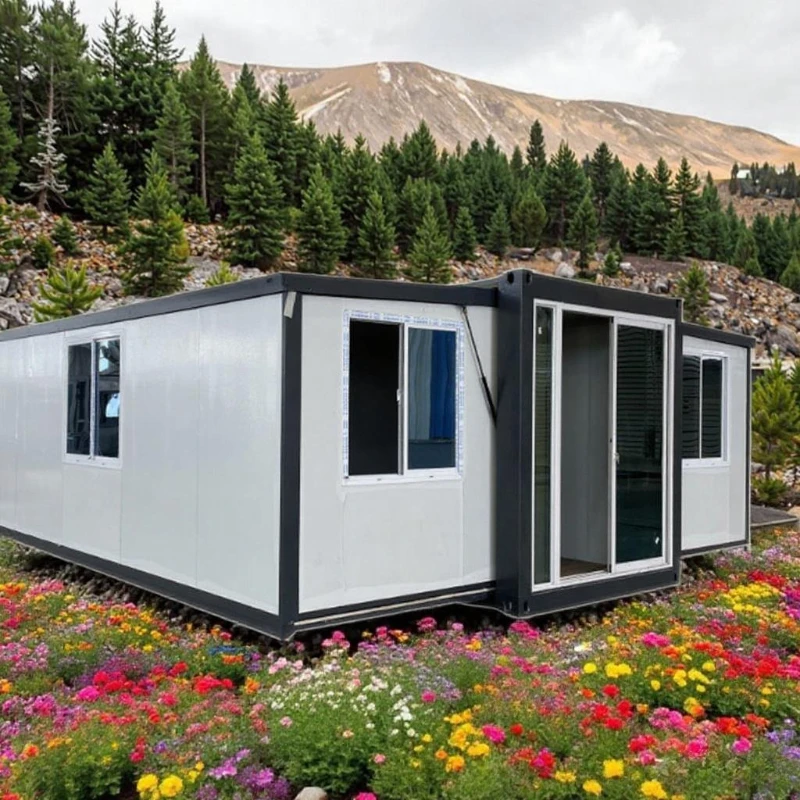 Wholesale 2 3 Bedroom Luxury Prefabricated Villa Granny Flat Prefab Mobile Home 20Ft 40Ft Portable Expandable Container House