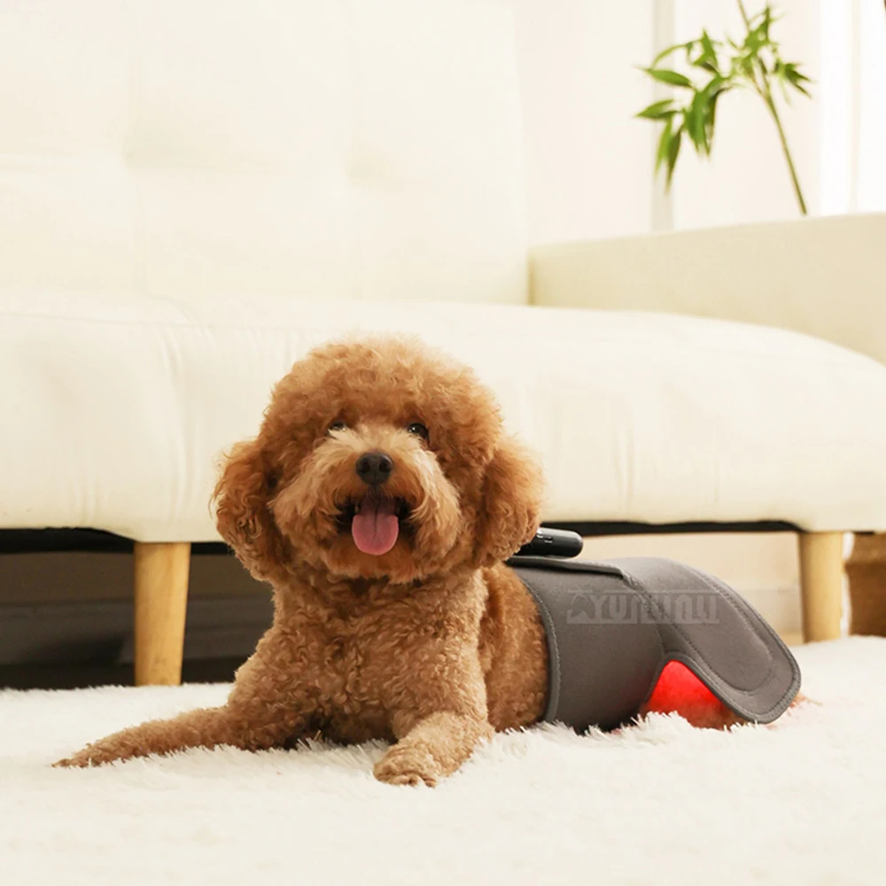 

Инфракрасный физиотерапевтический аппарат Yunlin Li Pet с красным светом