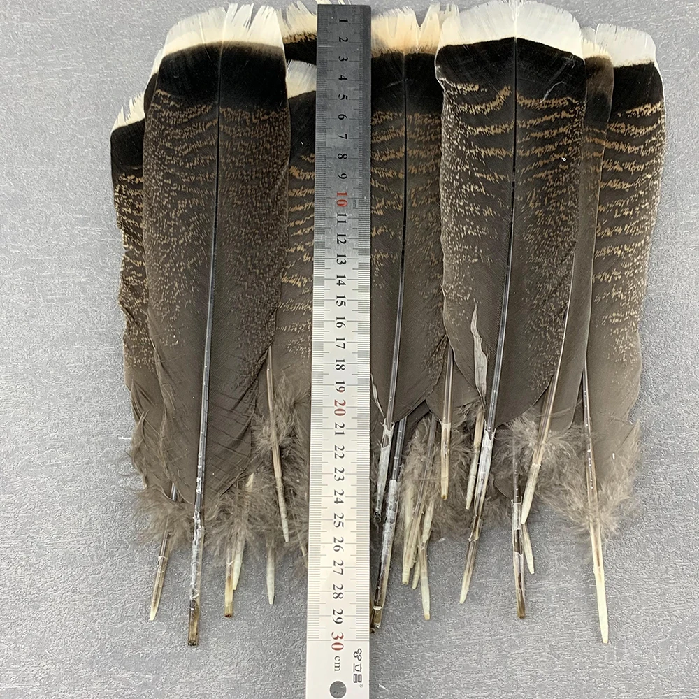 25-30cm Natural Turkey Tail Feathers for DIY Craft Feathers Handmade Decor Costume Accessories Premium Quality