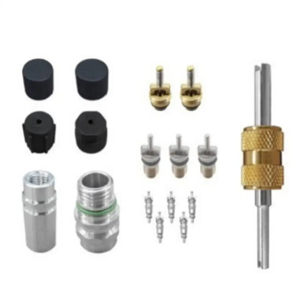 

17pcs Automobile Air Conditioning Valve Core And Valve Seat Assembly Valve Core Combination Car Air Conditioning Valve Core Set