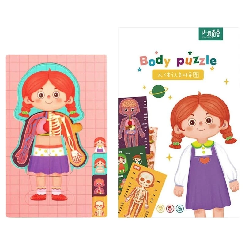 090B Science Puzzle Toy Human Torso Organ Cognitive Board Toy Children Educational Teaching Toy Preschool Classroom Supply