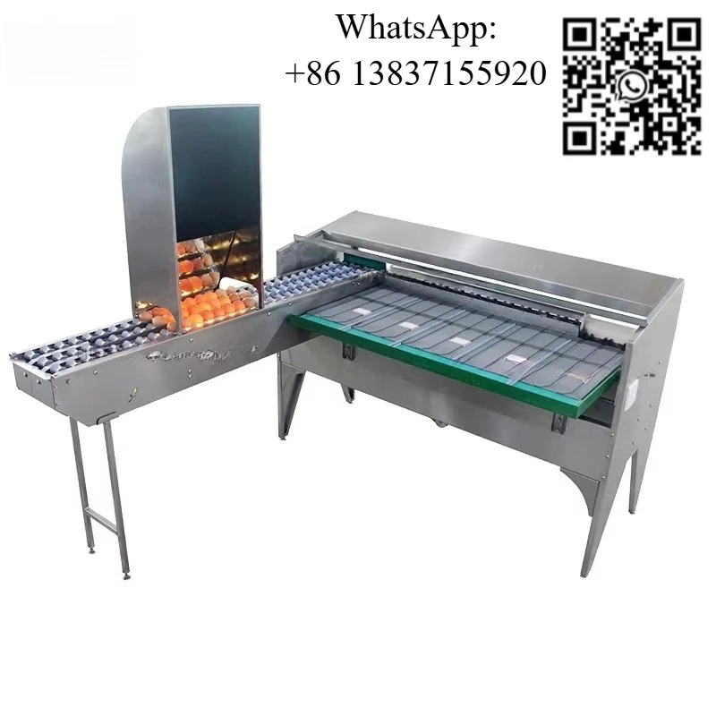 

Custom Chicken Egg Sorting Machine Automatic Egg Grading Machine High Precision Egg Classifier For Farm Commercial Use