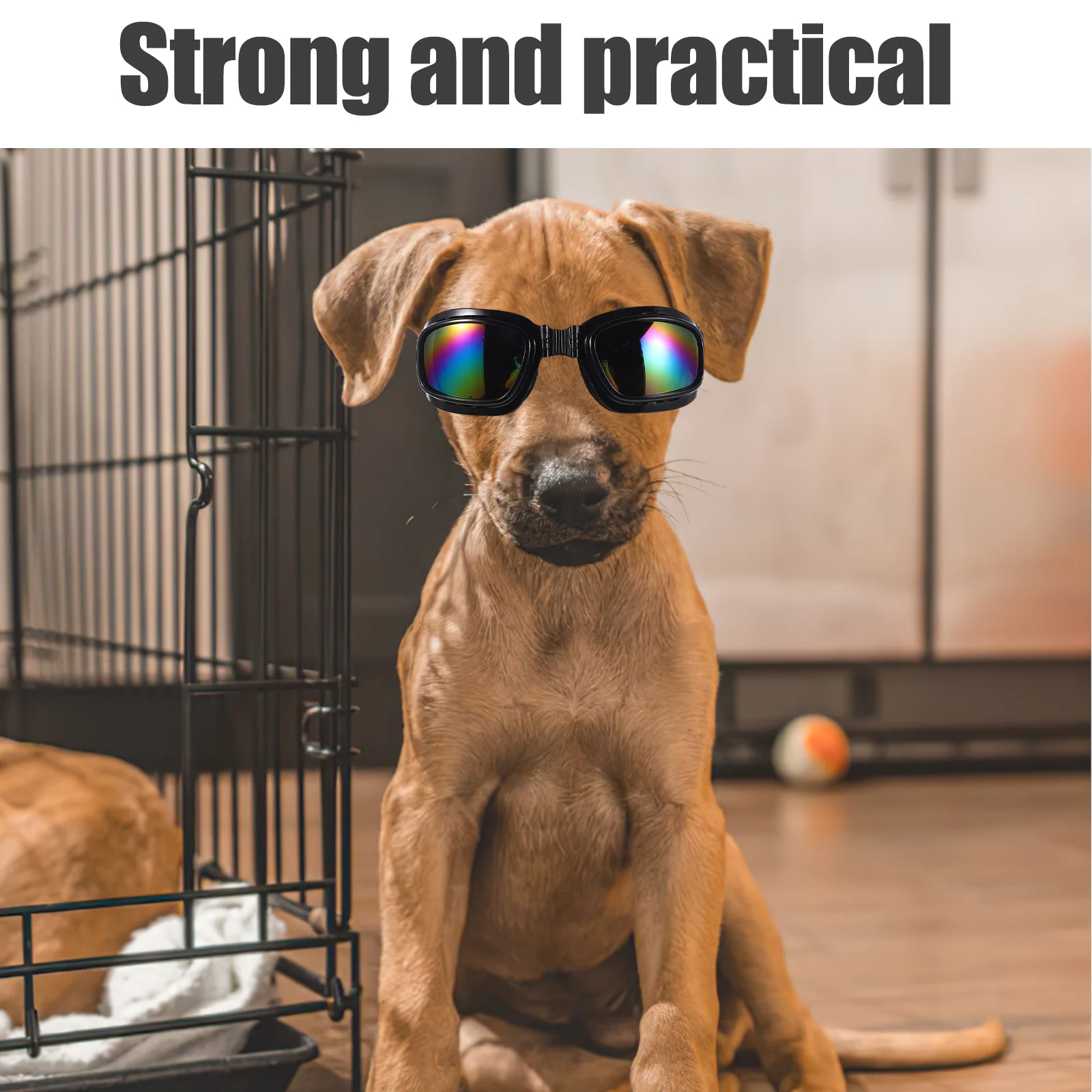 3pcs Motorcycle Goggles For Large Dogs: Windproof Waterproof Uv Protection Pet Eyewear Adjustable Strap For Riding Driving